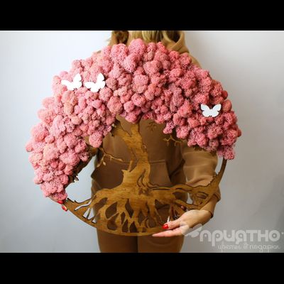 ЖИВАЯ ЭКО-КАРТИНА 1043