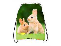 Сумка-мешок для обуви год Кролика №15