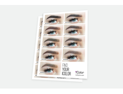 Плакат Брови формата A2 - "Find your iColor - Brows"