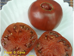 Округлые сорта  черноплодных томатов