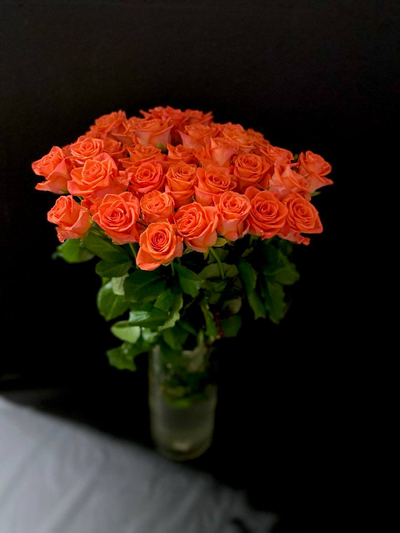 Роза  Россия сорт Вау 50 см. 51 шт.