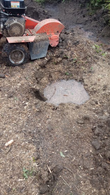 Дробление (измельчение) пней