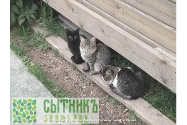 Чистые натуральные продукты с фермы в Московской области