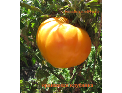 Томат Оранжевая клубника (Orange Strawberry)