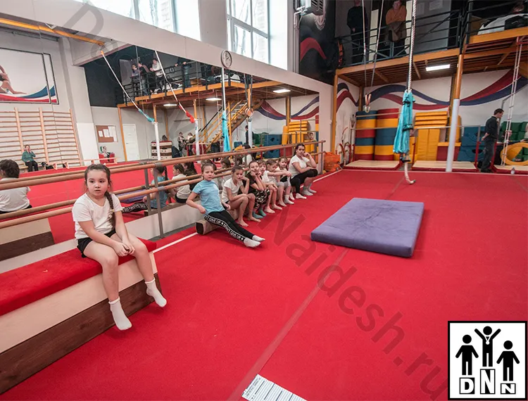 Помост гимнастический на пружинной основе. Томск,  Реактор