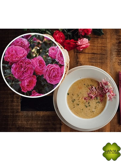 КУЛИНАРНАЯ РОЗА ФЛОРИБУНДА 50 см "ДОЛЬЧЕ" (Фруктовый аромат и сладкий вкус красной смородины!)