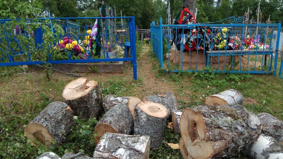 Вырубка аварийных деревьев на кладбище в Солецком районе и под Старой Руссой 