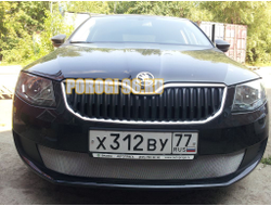 Защита радиатора Skoda Octavia А7 Active 2013-2017 chrome