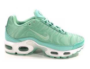 Air max plus igloo best sale