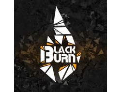 Табак для кальяна Black Burn 200 грамм