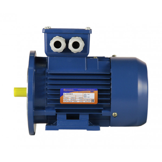 Электродвигатель 5АИ 56А2 (0,18 кВт) IM 2081