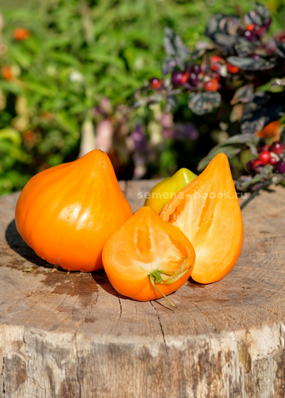 Томат Золотое Сердце, 10 шт