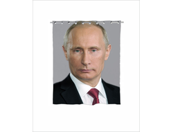 Штора в ванную с Путиным №7