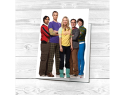 Обложка на паспорт Теория большого взрыва, The Big Bang Theory №1