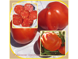 Томат Райское наслаждение