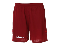 Шорты Legea Taipei Tornado P202-0008