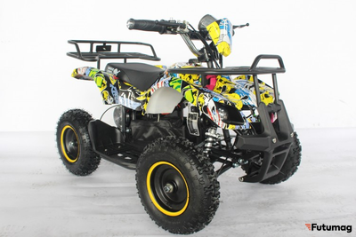 Квадроцикл GreenCamel Гоби K21 (12 Ah 36V 800W R6 Цепь) Граффити