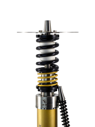 STATIC FINAL: BLACK | GOLD with GOLD METAL BASE