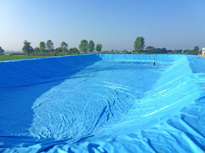 Пленка Винилит ПВБ для пруда и водоемов