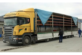 Автомобильные перевозки грузов массой до 27 тонн в тентованных