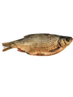 Красноперка вяленая