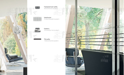 Шкаф-купе Милана 062