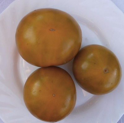 Томат Ирландский ликер