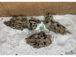 Коряга Мангровая Дракон ML (20-35см)