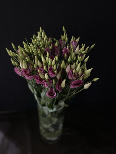 Эустома 15 шт