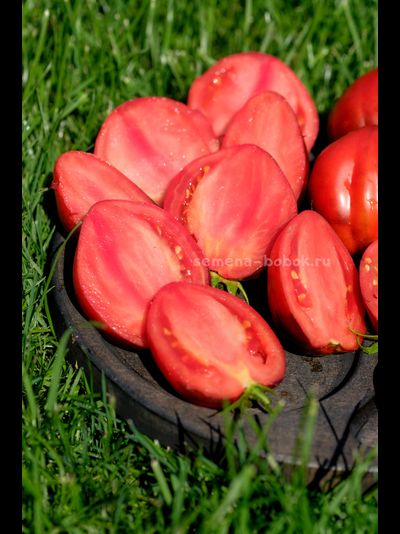 Томат Бронзовые Носики Сержанта Пеппера, 10 шт