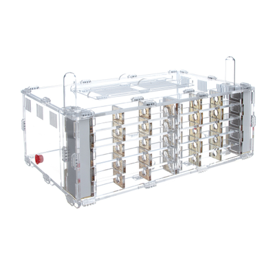 Комплект формикарий 4ants Crystal XL 3.0  с муравьями Messor Structor