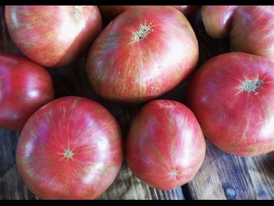 Томат Гном Малиновая нерка (Dwarf Crimson Sockeye)