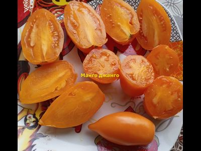 Томат Манго Джанго