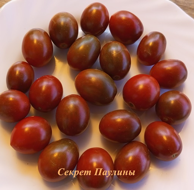 Томат Секрет Паулины (Paulinas Secret)