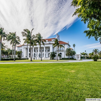 Рулонный газон Элитный