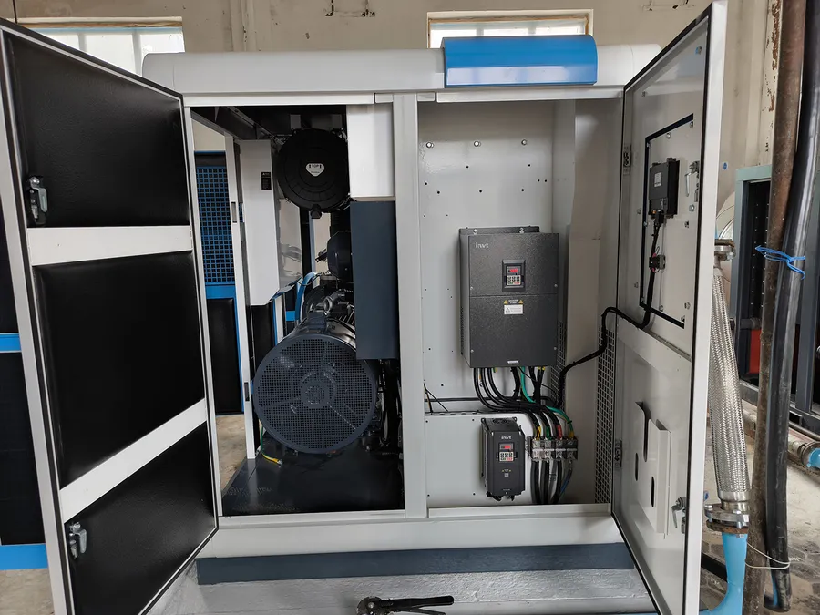 Компрессор DSV 110A-II