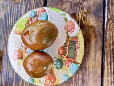 Томат Беркли Тай дай хаат (Berkeley Tie Dye Heart , USA)