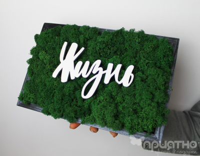 ЖИВАЯ ЭКО-КАРТИНА 1054