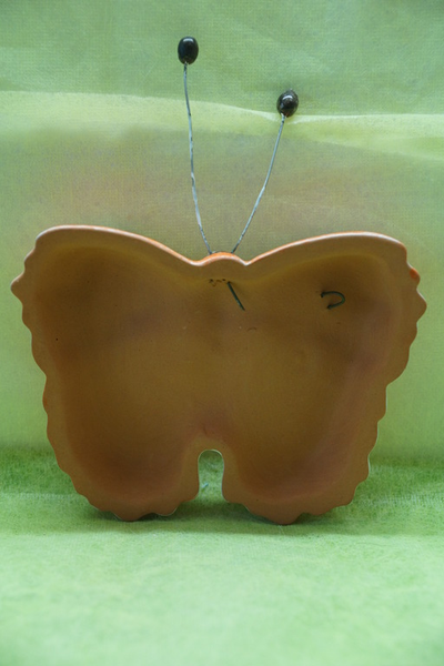 Бабочка малая