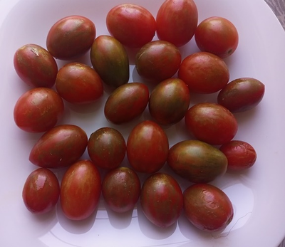 Томат черри Шоколадные брызги (Chocolate Sprinkles)