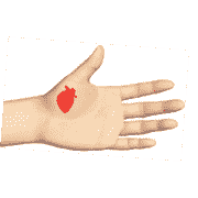 Зона сердца Су Джок. ДЭНАС ПКМ [НЕЙРОДЭНС] 