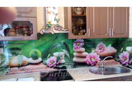 Стеклянный фартук с фотопечатью