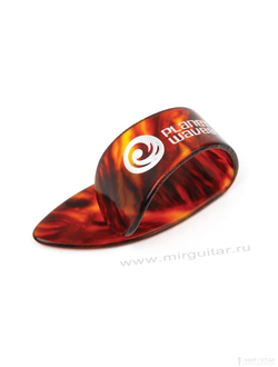 Planet Waves 5CSH6-5 Shell Large