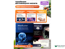 Комплекс Максбустер и Церебромакс, двойная защита для мозга