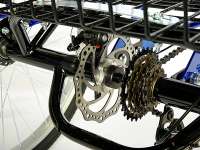 Электровелосипед трицикл РВЗ Чемпион (RVZ-HZ-01) черный