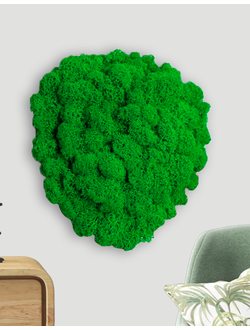 ЖИВАЯ ЭКО-КАРТИНА 1040