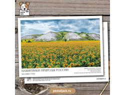 Почтовая открытка для посткроссинга: Памятники природы России. Меловые горы