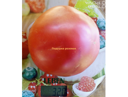 Томат Подушка розовая