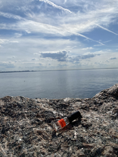 Духи НОТА: МУЖСКАЯ ПРИРОДА 3,5 мл