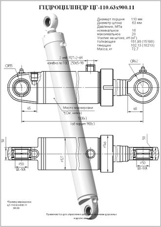 Гидроцилиндр стрелы ЦГ-110.63х900.11 ТО-49